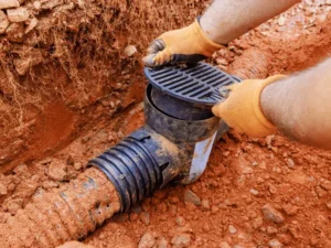 sewer pipe damage Advantage Plumbing