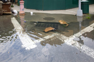drains back up when it rains